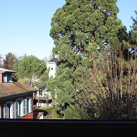 Superb Apt- Garden- 3 Parkings, Near Petite Venise ! Colmar Esterno foto