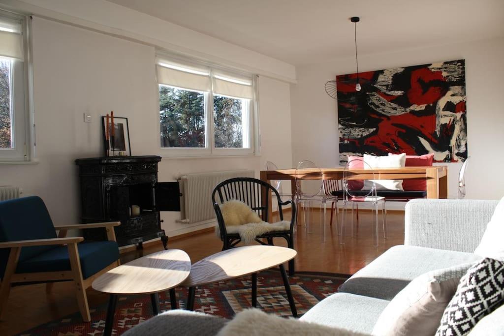Superb Apt- Garden- 3 Parkings, Near Petite Venise ! Colmar Esterno foto