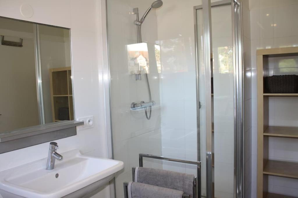 Superb Apt- Garden- 3 Parkings, Near Petite Venise ! Colmar Esterno foto