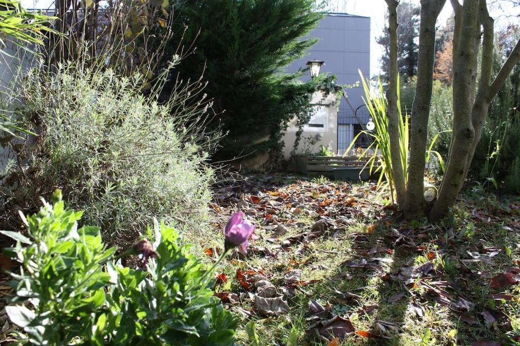 Superb Apt- Garden- 3 Parkings, Near Petite Venise ! Colmar Esterno foto