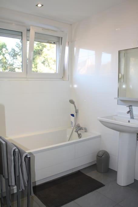 Superb Apt- Garden- 3 Parkings, Near Petite Venise ! Colmar Esterno foto