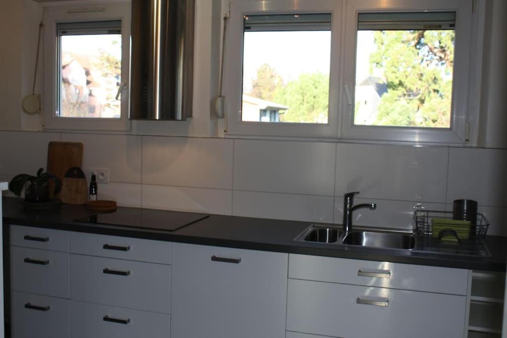 Superb Apt- Garden- 3 Parkings, Near Petite Venise ! Colmar Esterno foto