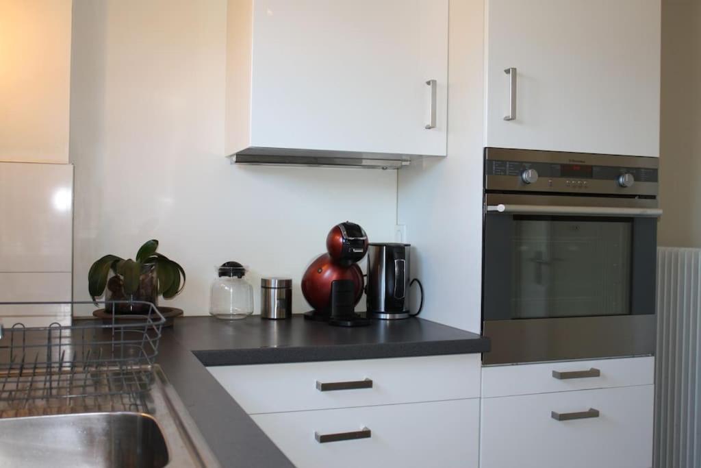 Superb Apt- Garden- 3 Parkings, Near Petite Venise ! Colmar Esterno foto
