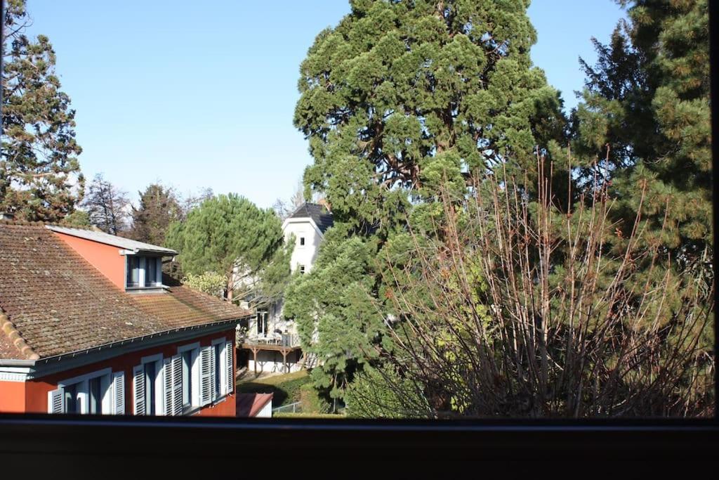 Superb Apt- Garden- 3 Parkings, Near Petite Venise ! Colmar Esterno foto