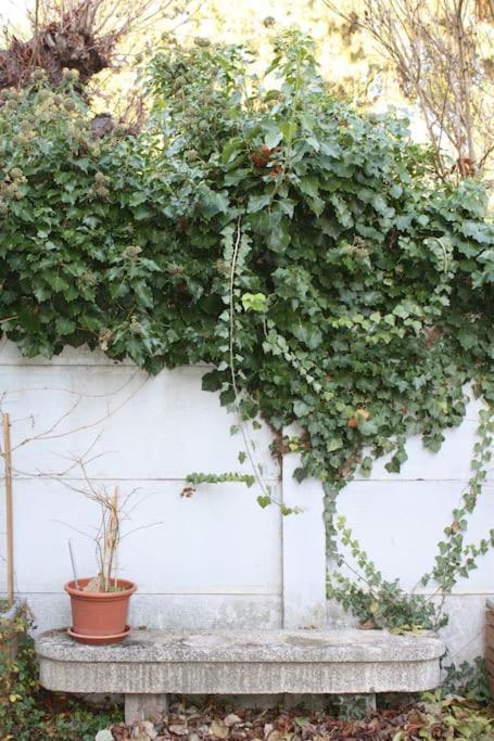 Superb Apt- Garden- 3 Parkings, Near Petite Venise ! Colmar Esterno foto